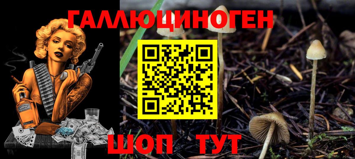 Псилоцибиновые грибы мицелий Куйбышев