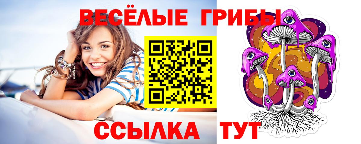 Галлюциногенные грибы MAGIC MUSHROOMS  Вход с VPN  Куйбышев 